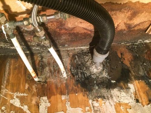 Mold Under The Sink