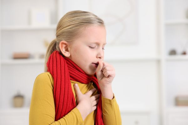 Is Mold Removal Safe for My Family & Pets?