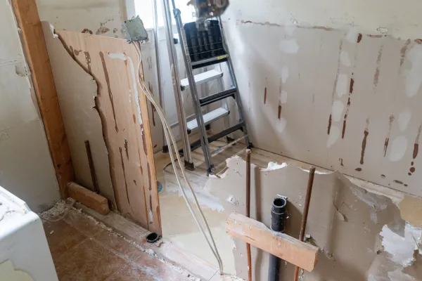 What Makes ZeroMold’s Professional Mold Removal Different From Traditional Mold Removal