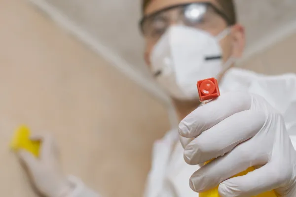 average mold removal cost for homeowners