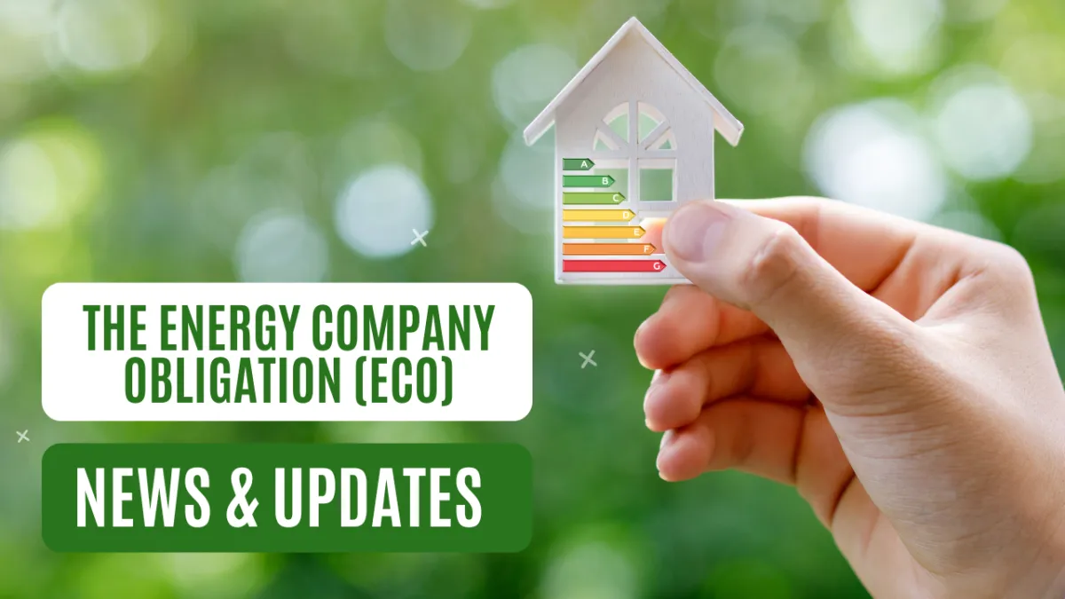 ECO News and Updates