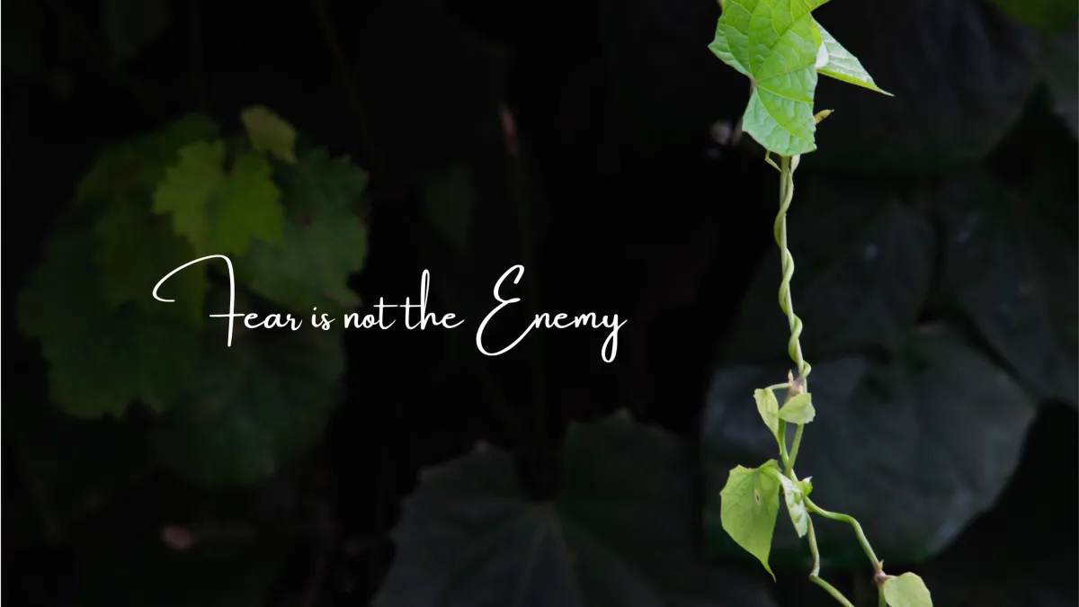 Fear is not the Enemy