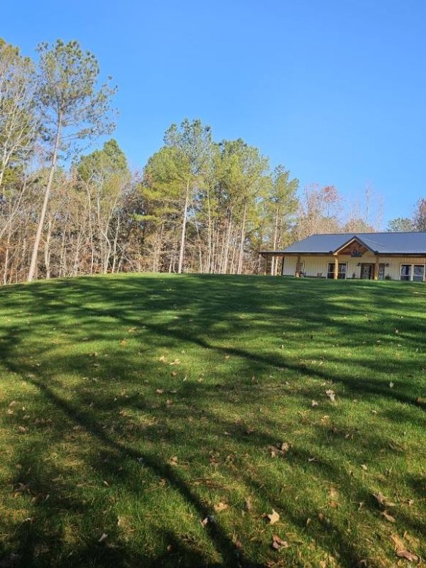 green, lucious lawn in Georgia