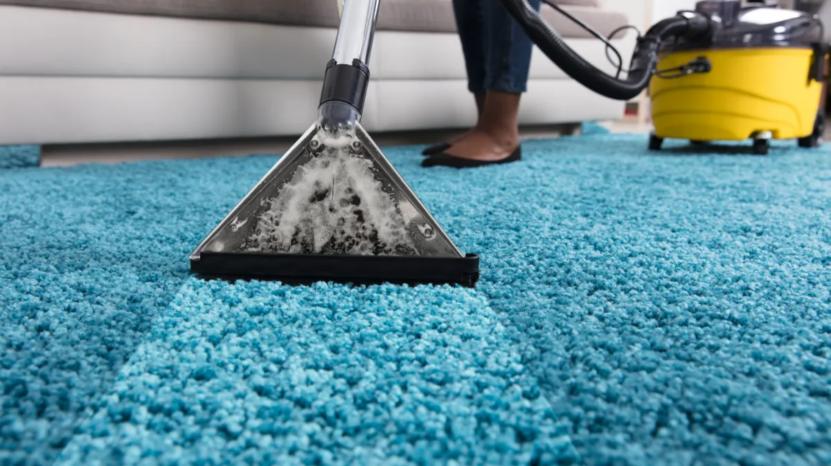 Professional carpet cleaning service using steam extraction equipment in Mildura