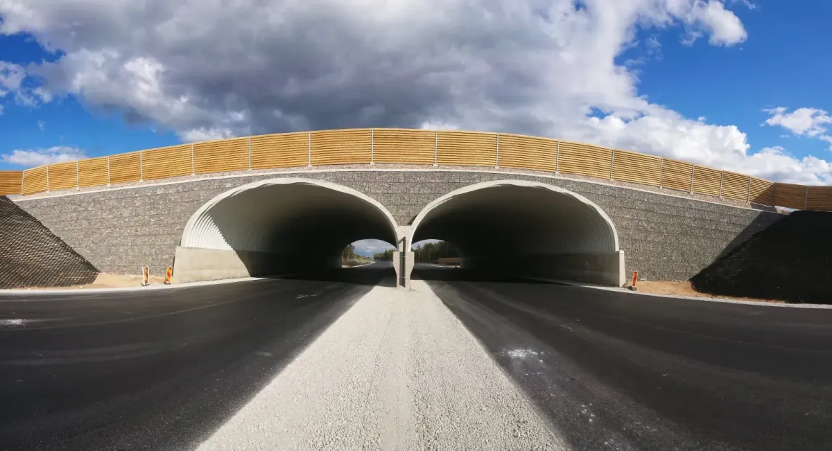 Õkodukt maanteel gabioonnõlvadega