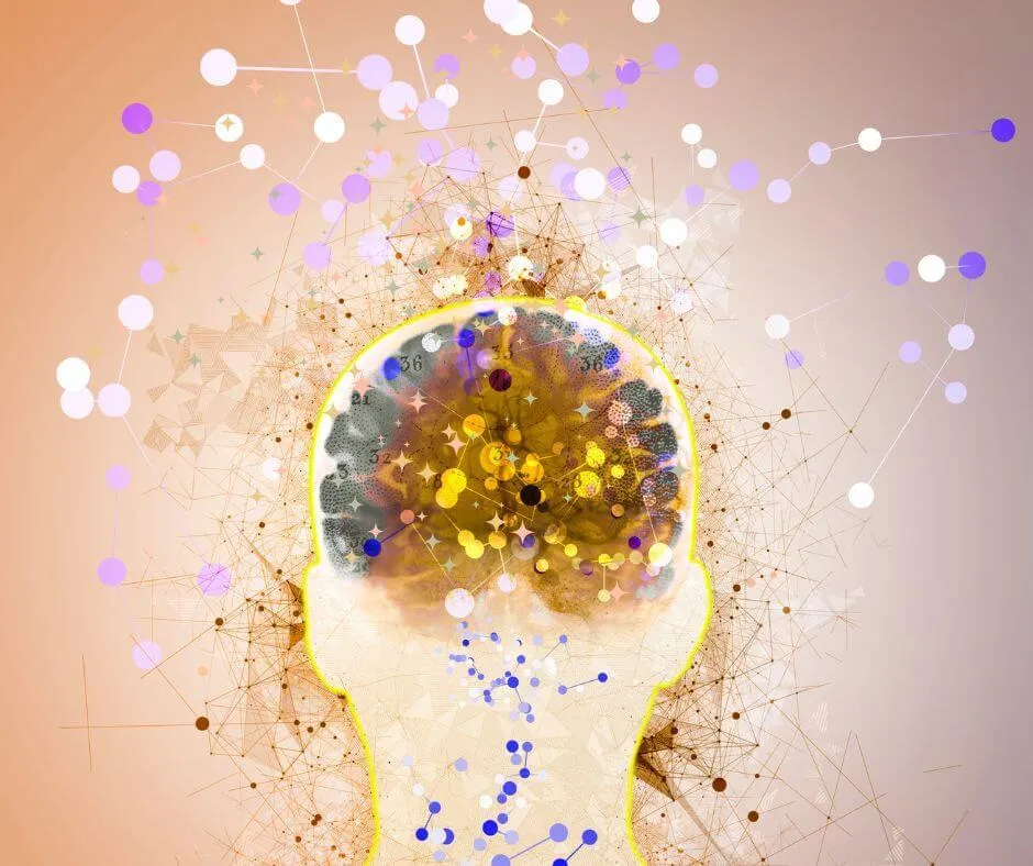 Menopause Brain