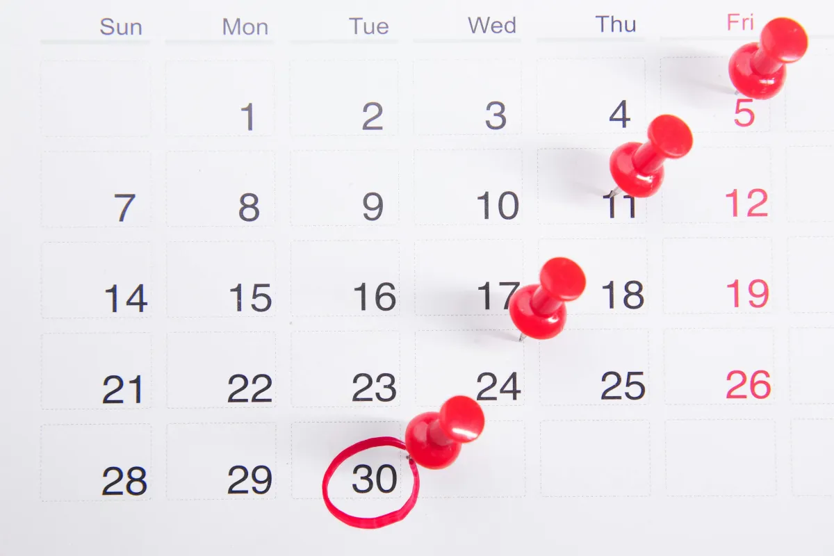 Beyond the Hustle: Reclaiming Your Time to Actually Grow Your Business