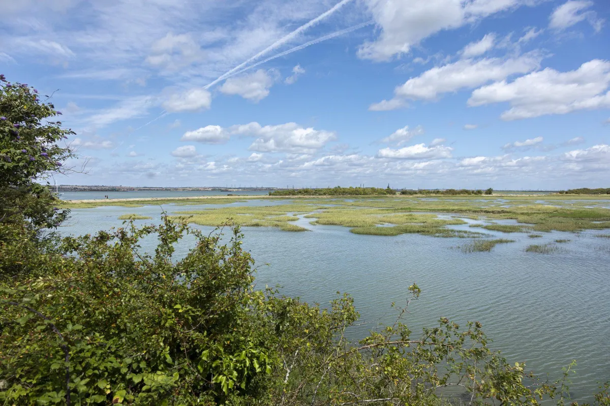 Where Chill Meets Thrill: Riverside County Park in North Arlington & Lyndhurst is the Weekend Vibe You Need