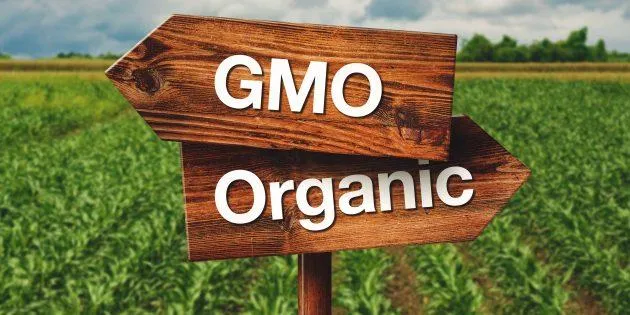 Sign with GMO and Organic on front of a field.