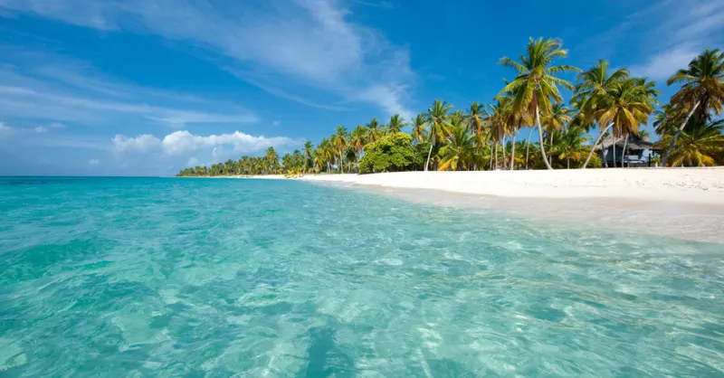 Stunning tropical beaches of the Dominican Republic, soft white sand, crystal-clear turquoise waters, lush palm trees swaying in the gentle breeze, vibrant coral reefs just offshore, golden sunset casting warm hues across the sky, serene and picturesque seascape, no people