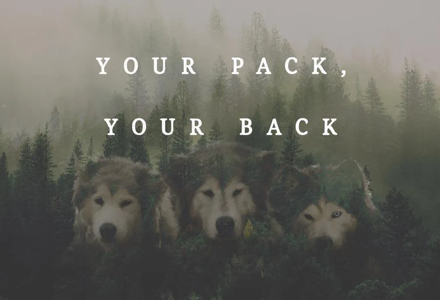 Your Back & A Pack