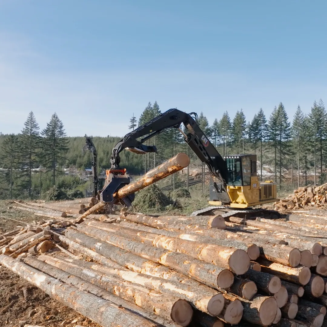 logging recruitment video