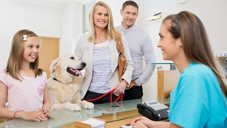 Sucesso nas Consultas: Como a IA Facilita o Agendamento