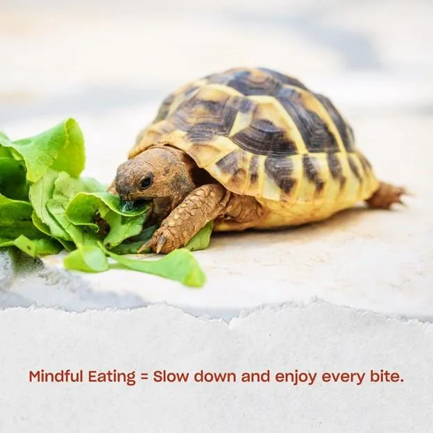 The Role of Mindful Eating in Weight Management Mind Over Meal: The Practice of Mindful Eating