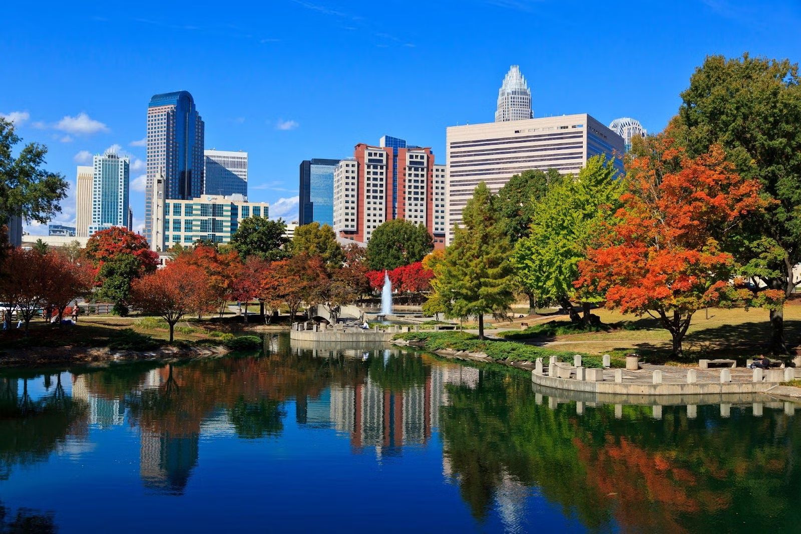 Family-Friendly Attractions in Charlotte That Are Easier to Reach With a Rental Car 🚗👨‍👩‍👧‍👦 (Steff Motors, Charlotte, NC)