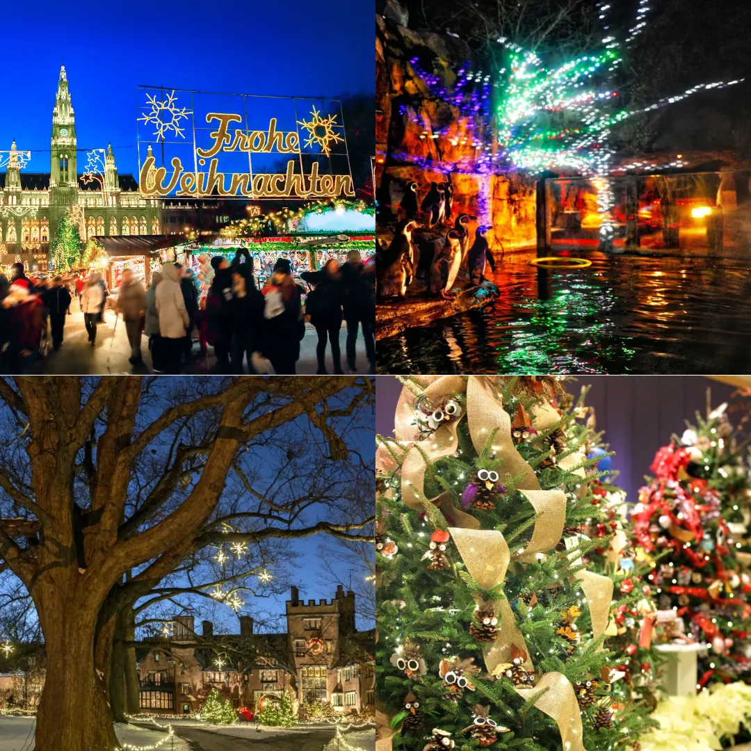 Magical Christmas Lights in Northeast Ohio: Best Drive-Thru & Walk-Through Displays to Visit This Season