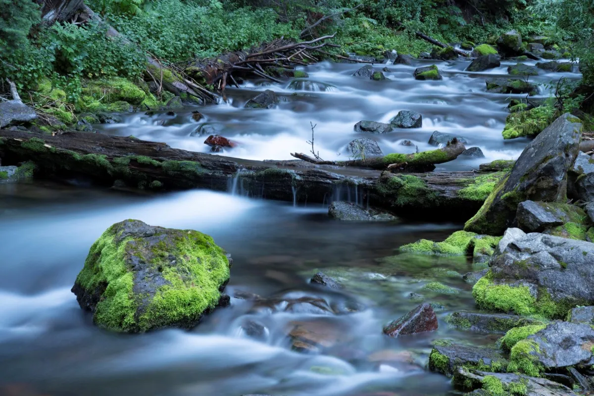 Maroon Creek in the Evening