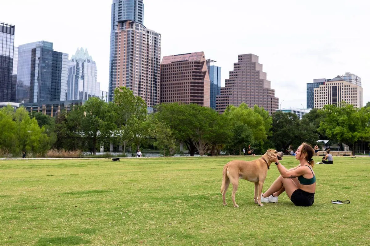 Moving to Austin With a Dog : Everything You Need to Know