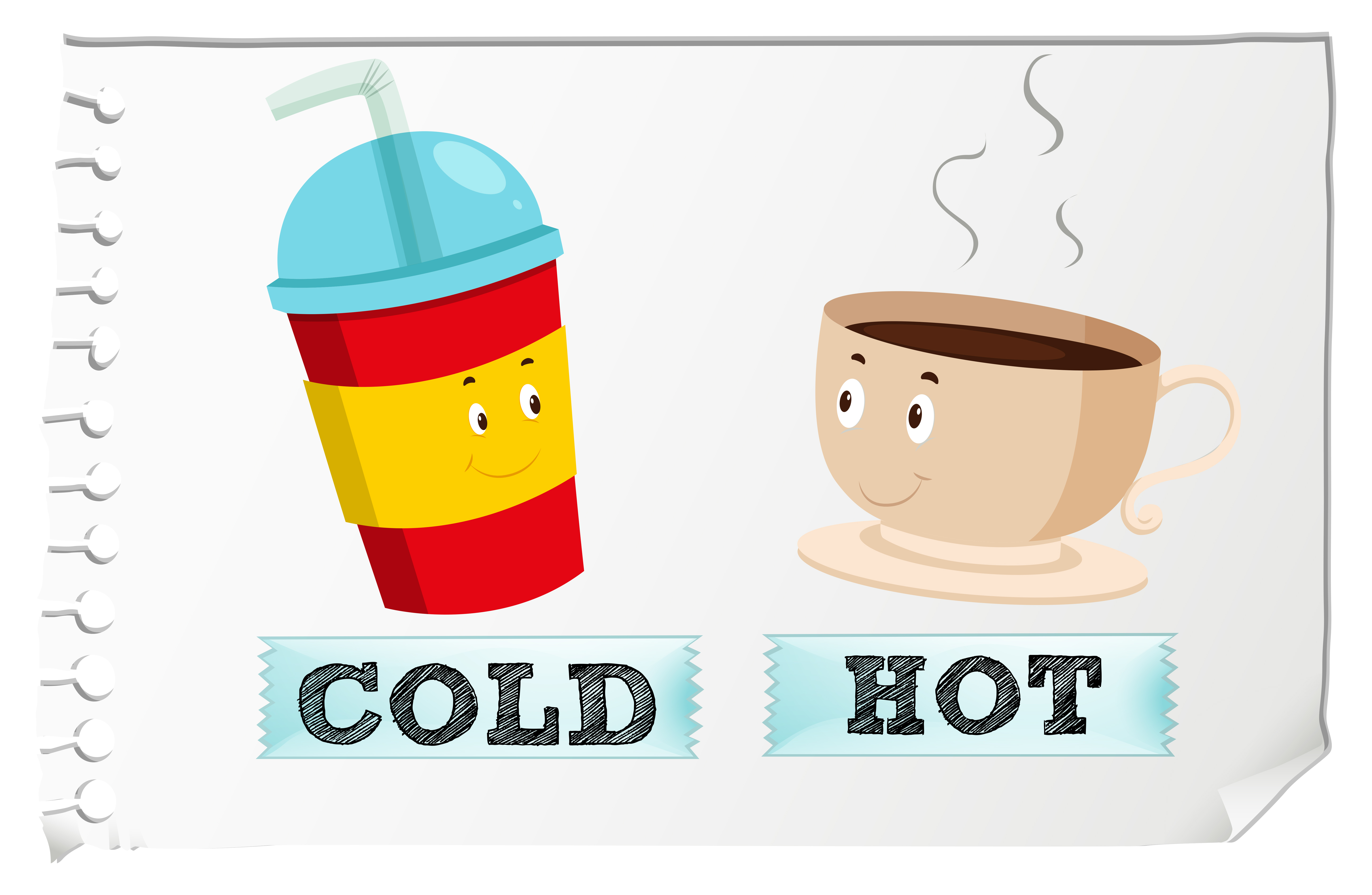 How Do You Choose the Right Drink for Hot vs Cold Weather