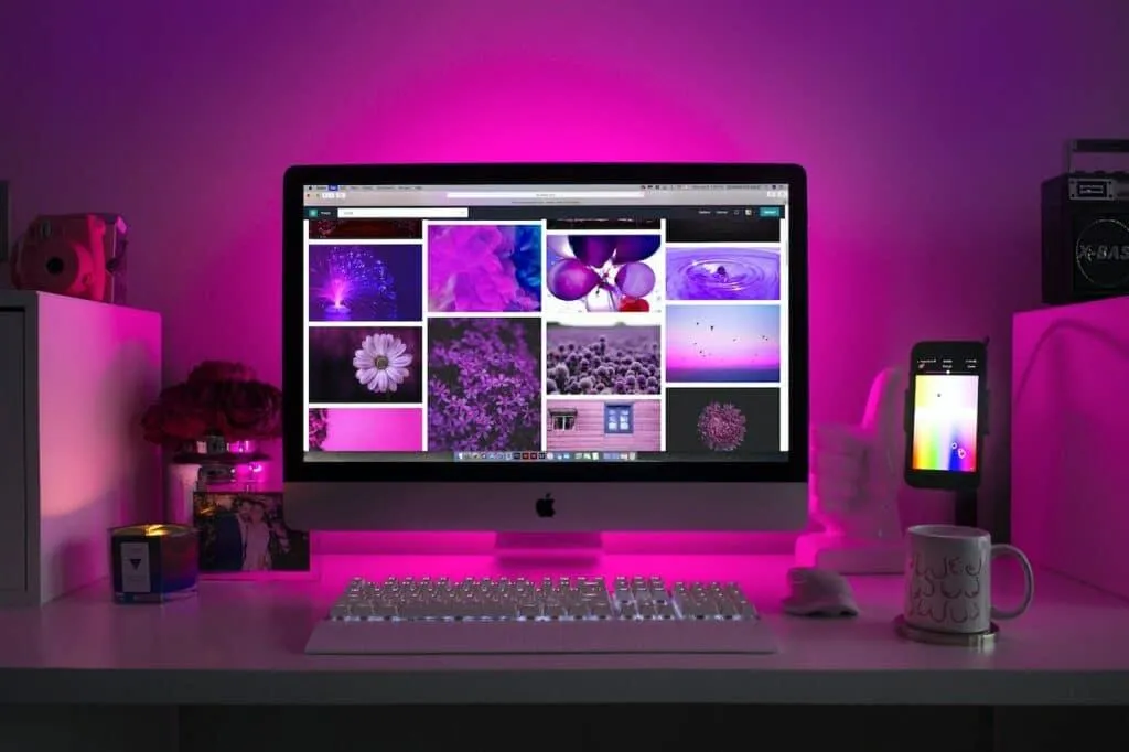 Web Design Unplugged: Exploring Visual Hierarchy's Role