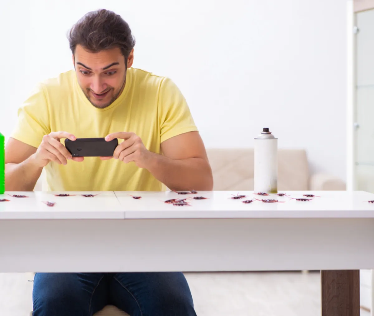 Winter Rodent Control Tips to Keep Mice Out of Your Home