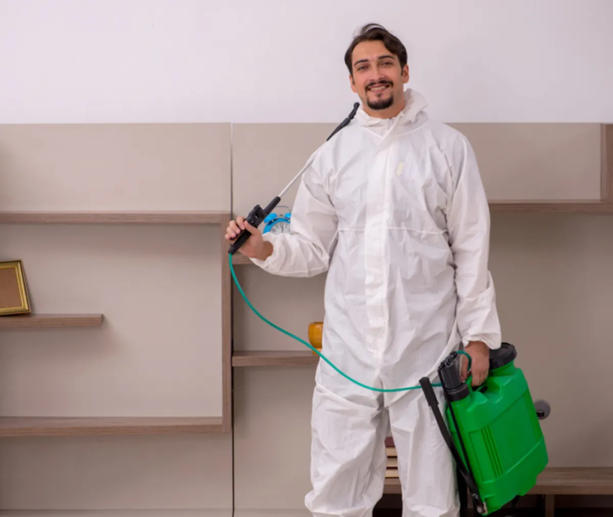 Termite Awareness for Winter: How to Spot and Stop an Infestation