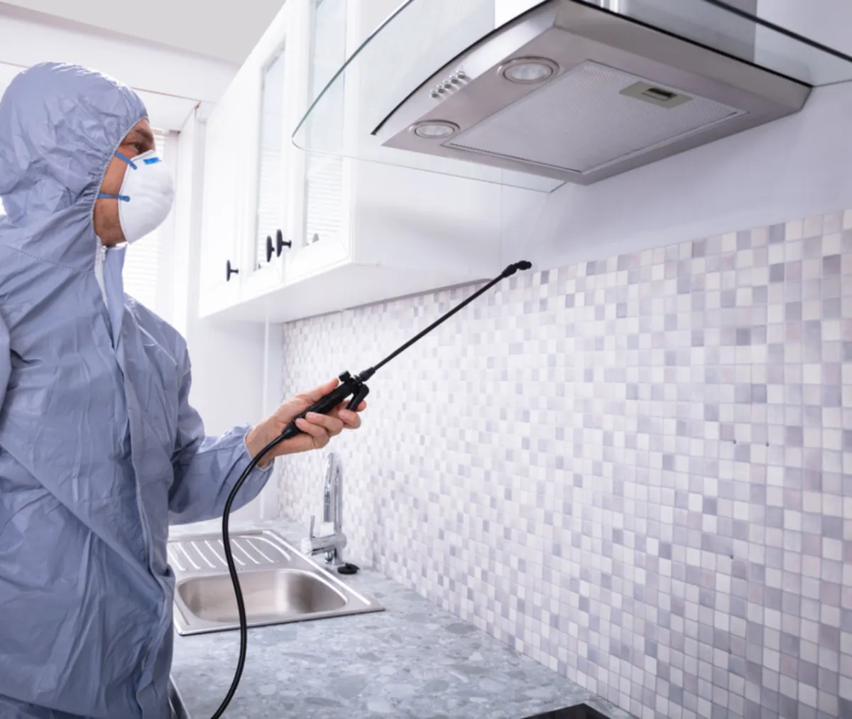 Preventing Poisoning from Pests: Rodent and Termite Risks to Health and Safety