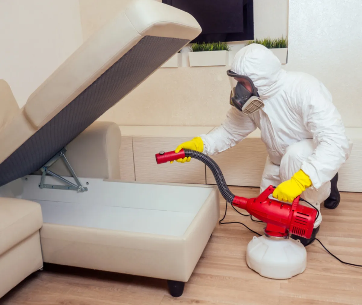 Termite and Pest Control Tips for Fathers Who Want to Keep Their Family Safe