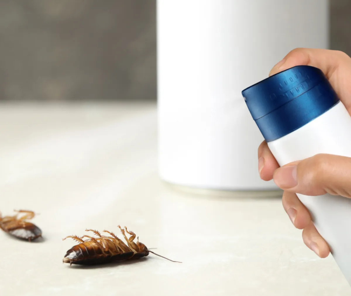 5 Essential Steps to Prevent Rodents and Pests During National Migraine Awareness Month