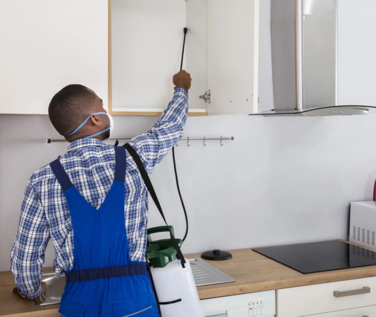 The Ultimate Guide to Termite and Rodent Control for a Pest-Free Home