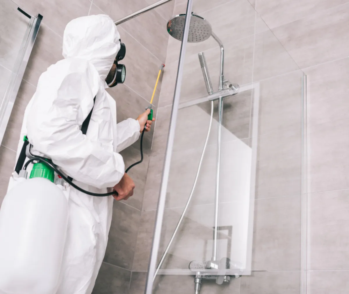 Rodents vs. Termites: A Rising Dual Threat in Residential Pest Control