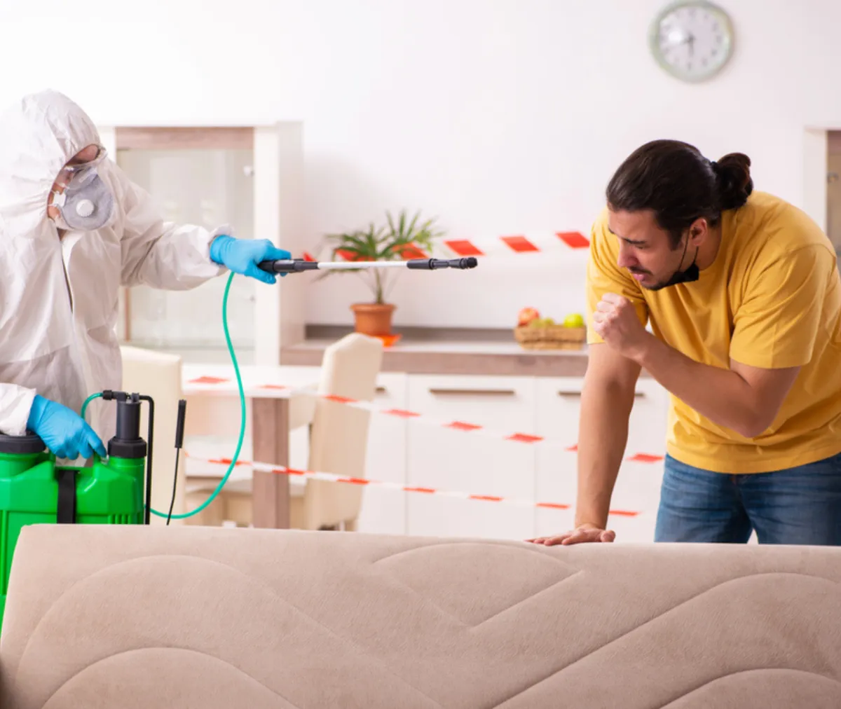 Rodent and Termite Activity Is Climbing: What Homeowners Need to Know Now