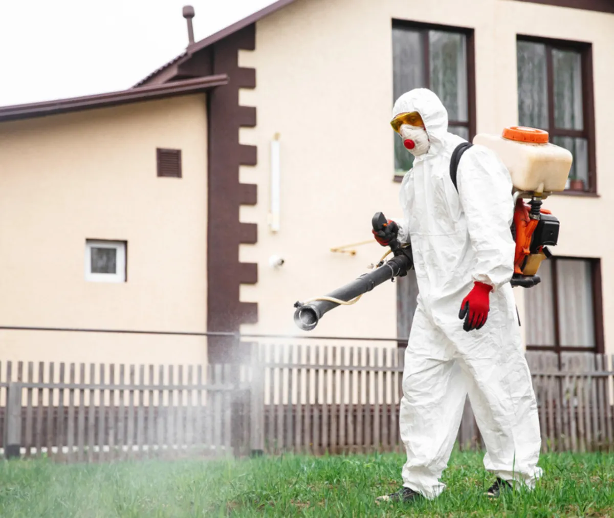 Routine Home Maintenance Prevents Fall Infestations