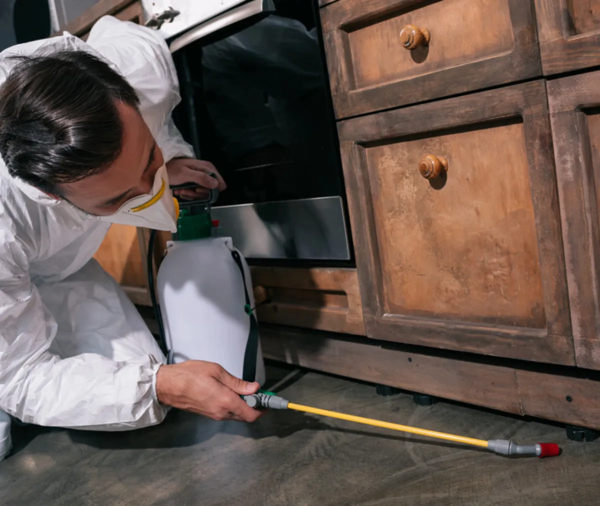 The Hidden Risks Lurking in Fall for Pest Problems