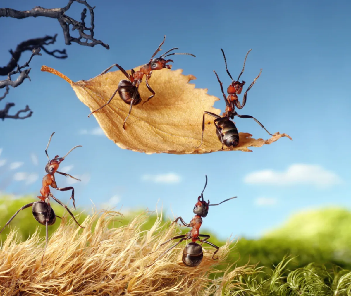 Why Insects Thrive in Fall Despite Cooling Temps