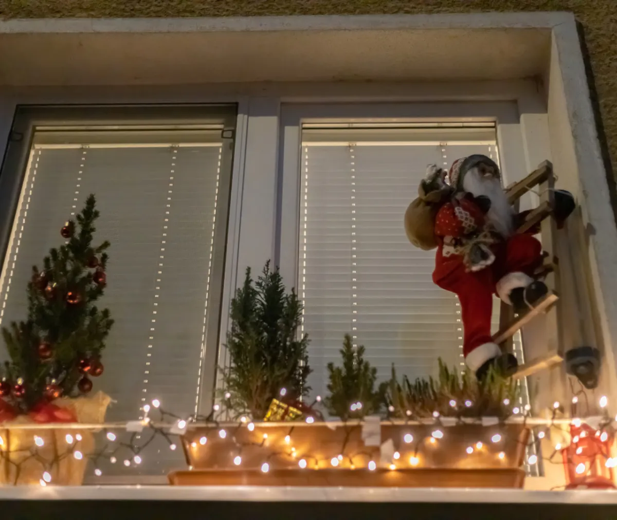 How Can You Keep Holiday Decorations From Bringing Pests Inside?