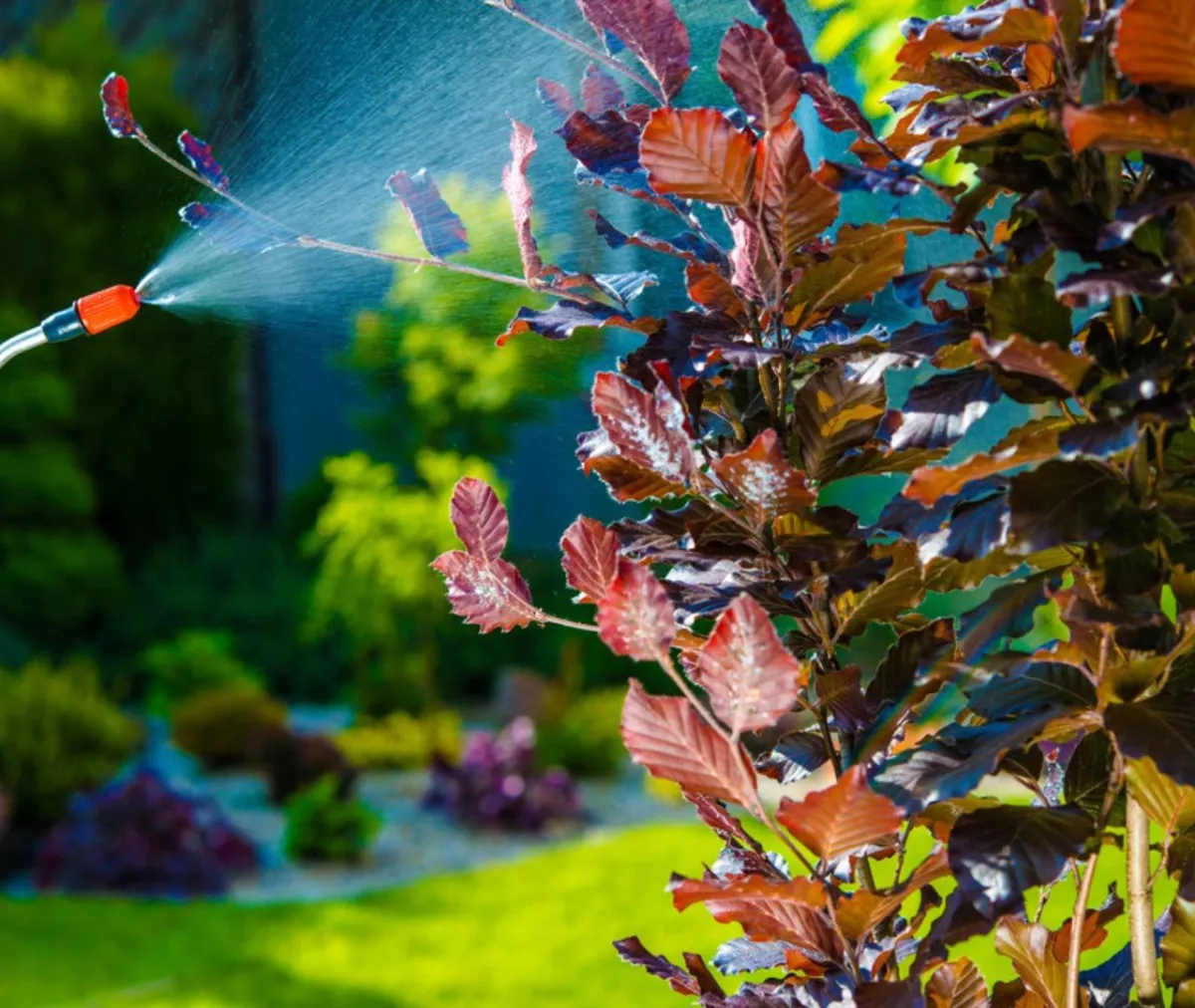 What’s Crawling Into Homes This Winter (And How Do You Stop It)?