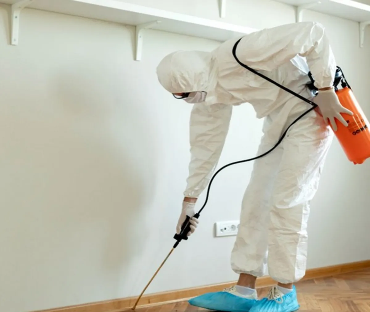 Valentine day clean up for home 