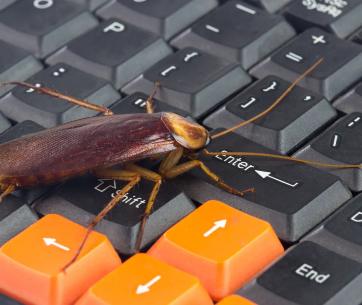 Why Does March Mark the Moment Pests Start Preparing for Spring Before You Notice Them?