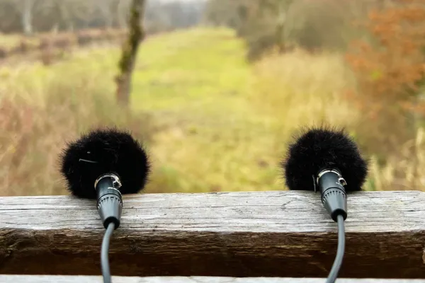 Daou's Microphone Set-up