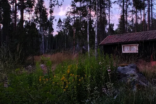 Swedish Landscapes