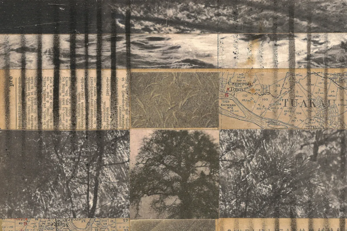 Adrian Lane's Grounding Sounds
