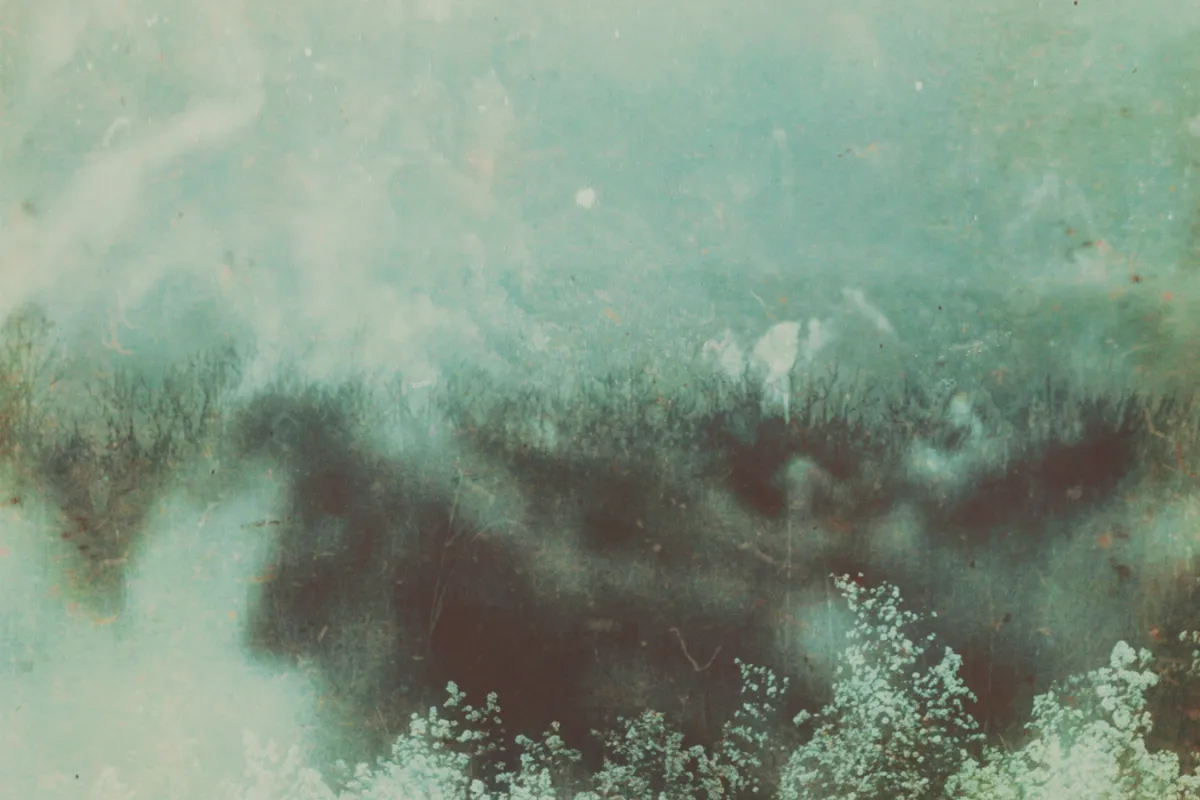Tapes and Topographies - Partial Holograms