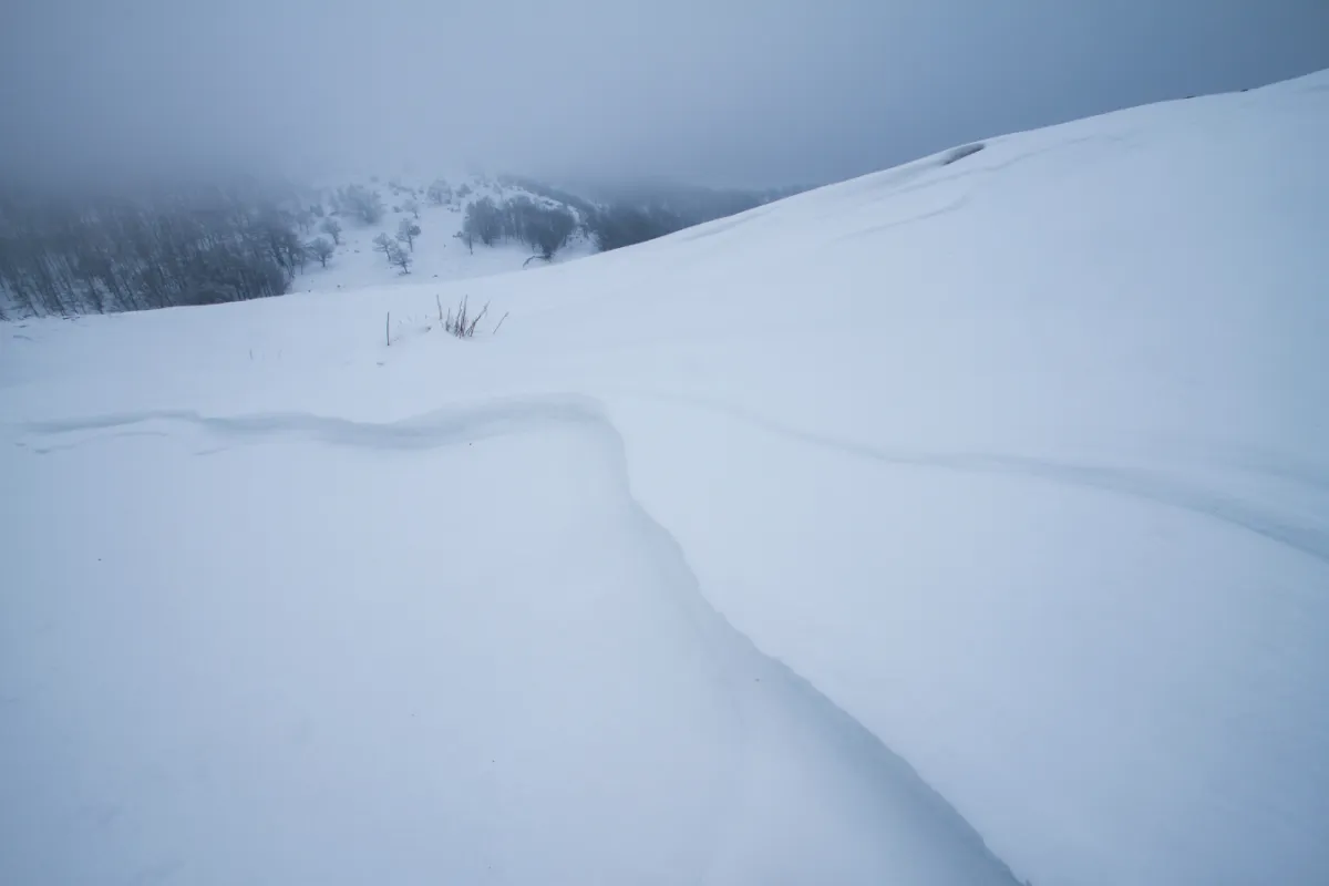 Giannis Gogos - Ambedo