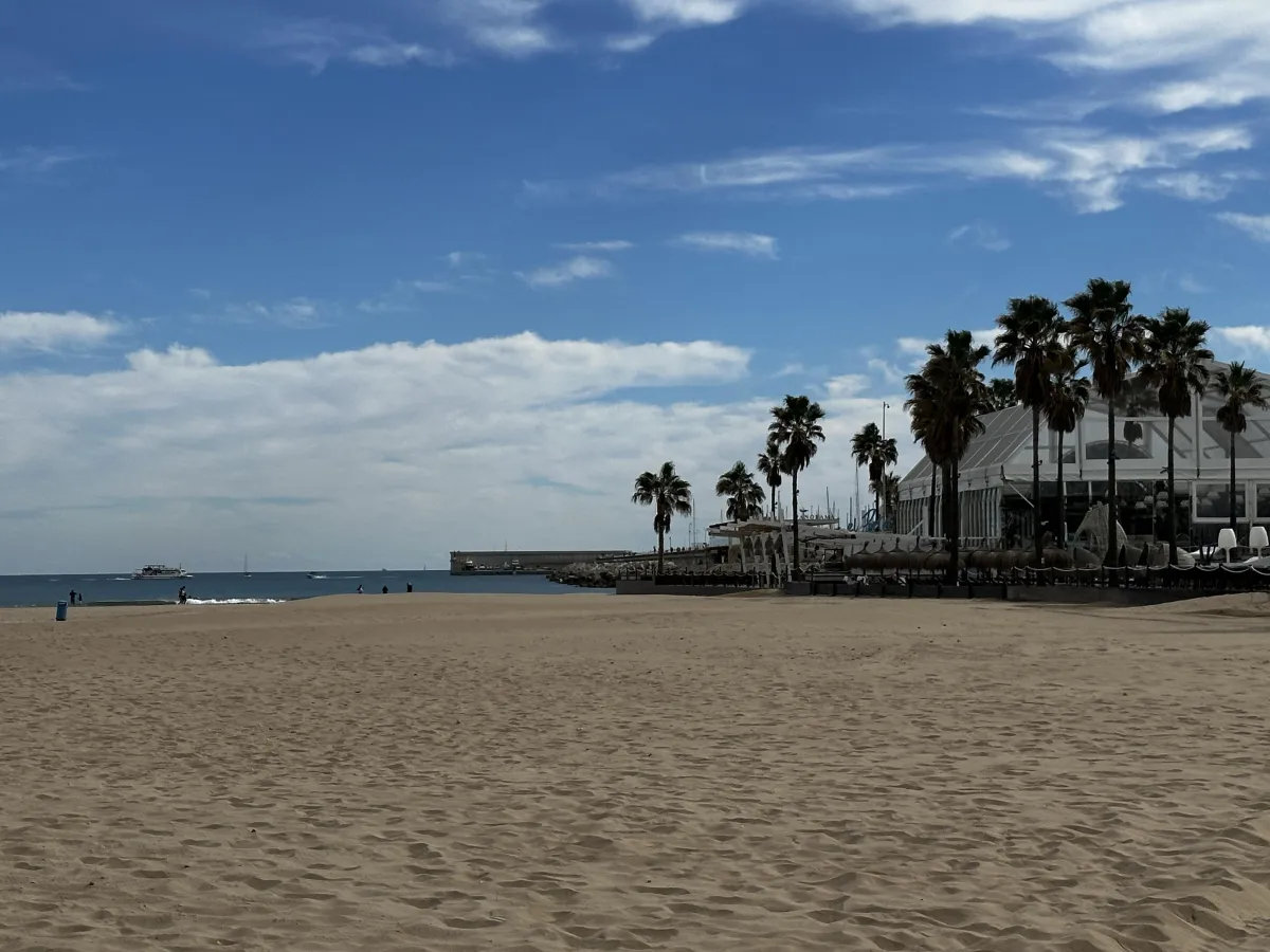Beach scene