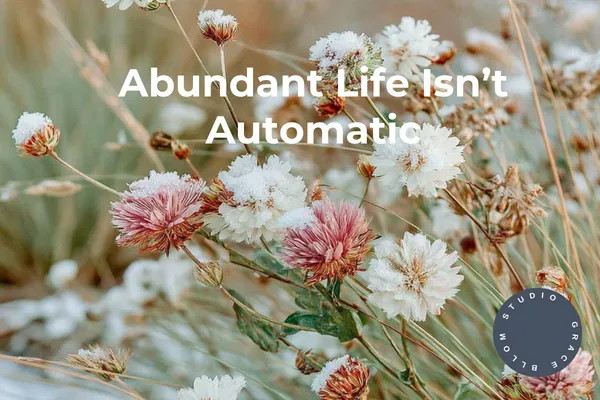 Soft-focus wildflowers in beige, white, and dusty pink with the text ‘Abundant Life Isn’t Automatic’ in white, plus a small circular ‘Studio Grace Blooms’ logo in the bottom-right