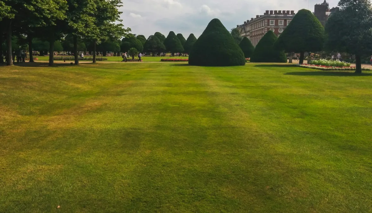 Why Routine Lawn Maintenance Matters for Sedalia Homeowners