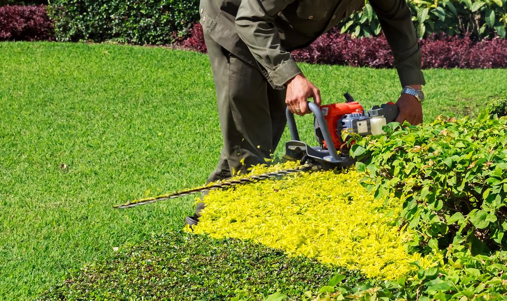 How to Prep Your Yard in Sedalia for Spring Landscaping Success