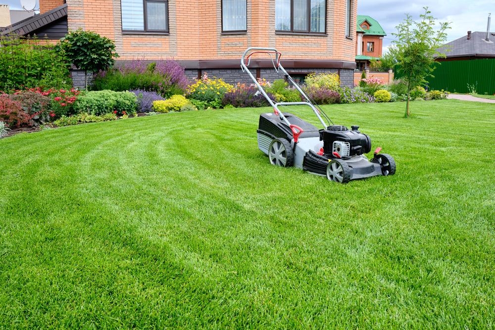 Regular Lawn Maintenance