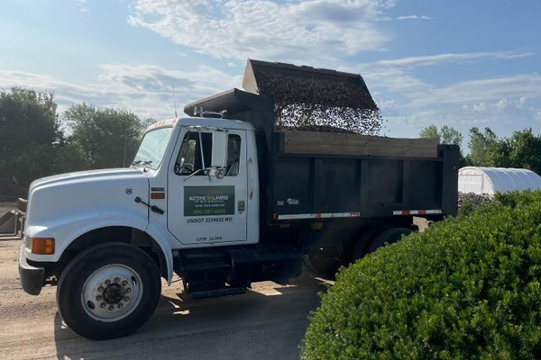 Eco-Friendly Junk Removal: What to Expect from a Pro in Sedalia